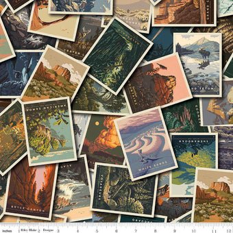 National Parks Postcard Toss Multi