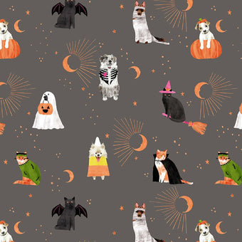 Dear Stella - Costume Party Collection - Sweetstumes in Slate - Quilting Cotton Fabric