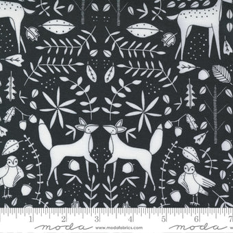 Forest Otomi in Night