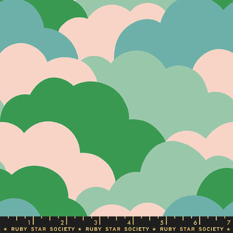 Clouds in Succulent
