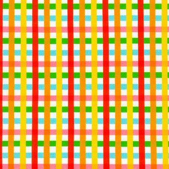 Picnic Plaid in Bright