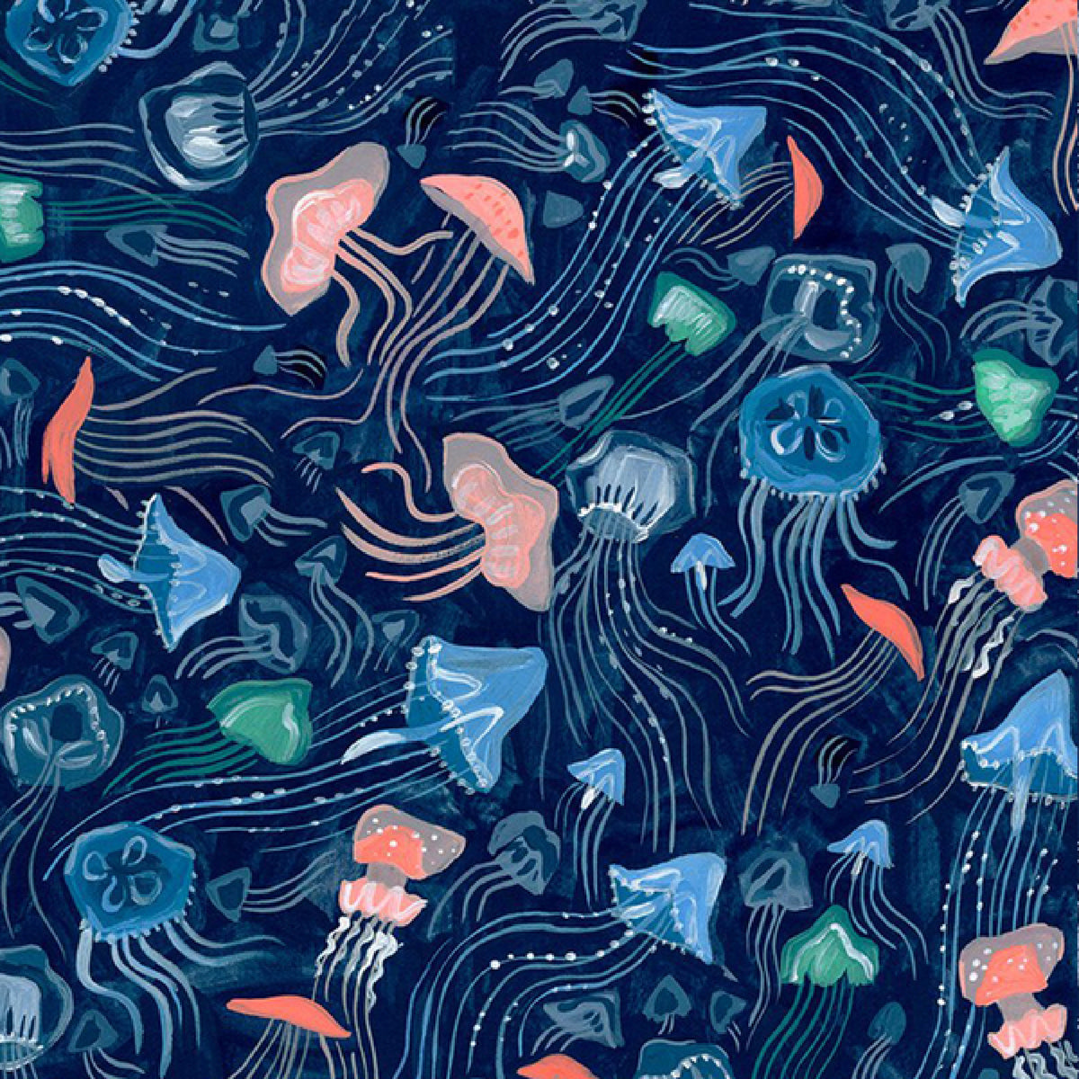 products/Jellyfish.jpg