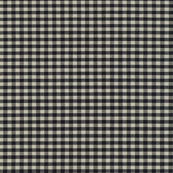 Crawford Gingham 1/8" in Black