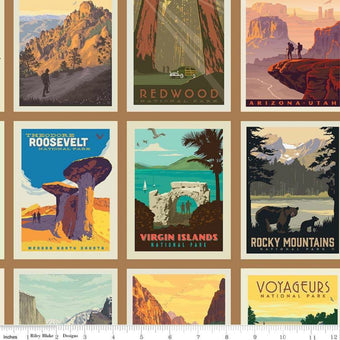 National Parks Posters PANEL in Sand