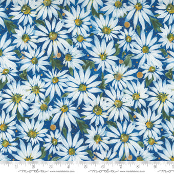 Oopsie Daisy in Cobalt