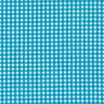 Carolina Gingham 1/8" in Turquoise