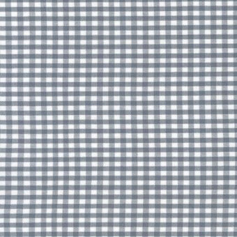 Carolina Gingham 1/8" in Silver