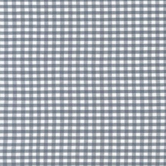 Carolina Gingham 1/8" in Silver