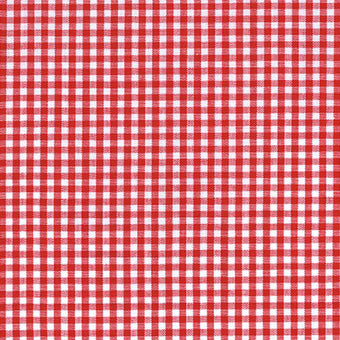 Carolina Gingham 1/8" in Crimson