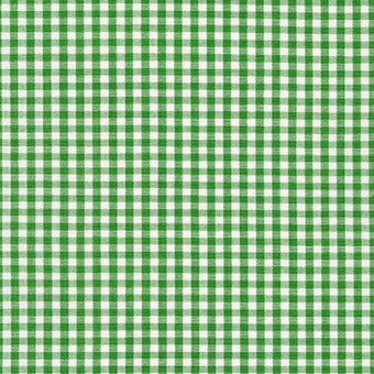 Carolina Gingham 1/8" in Kelly