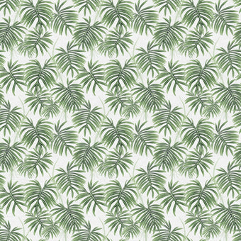 Radiatum in Green