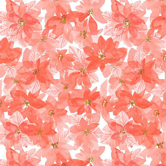 Poinsettia in Multi