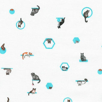 Cats in White