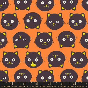 Scaredy Cats in Pumpkin Glow in the Dark