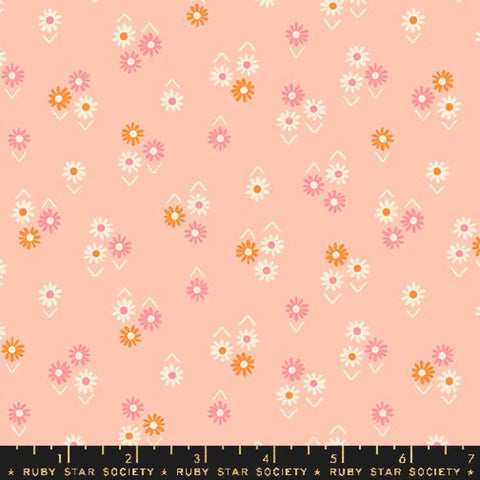 Baby Flowers in Peach