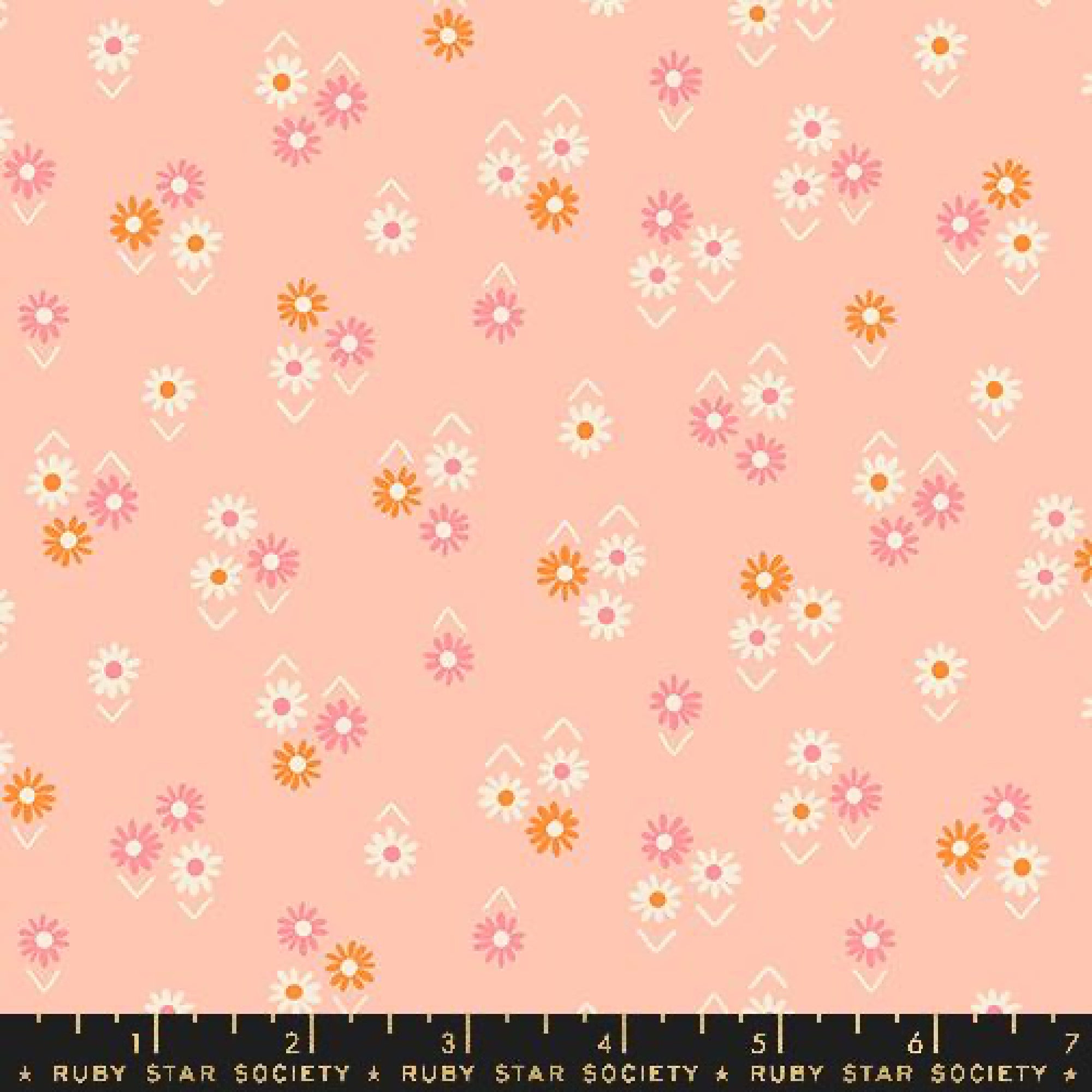 Baby Flowers in Peach