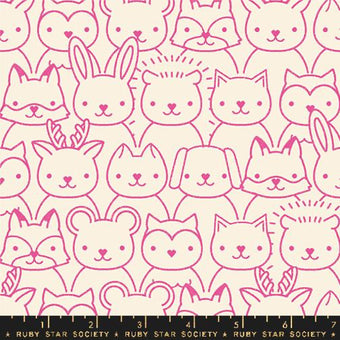 Ruby Star Society - Woodland Park Collection - Sup in Raspberry - Quilting Cotton Fabric