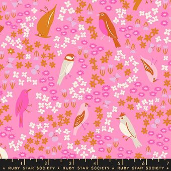 Ruby Star Society - Bird Is The Word Collection - Spark in Flamingo - Quilting Cotton Fabric