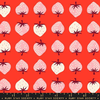 Ruby Star Society - Strawberry Collection - Strawberry in Lollipop - Quilting Cotton Fabric