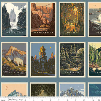 National Parks Postcards 24" PANEL in Blue (63 postcards)