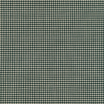 Crawford Gingham 1/16" in Forest
