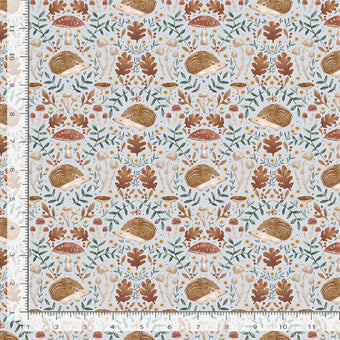 Dear Stella - Willow Collection by Clara Jean - Hedgehogs in Multi quilting cotton