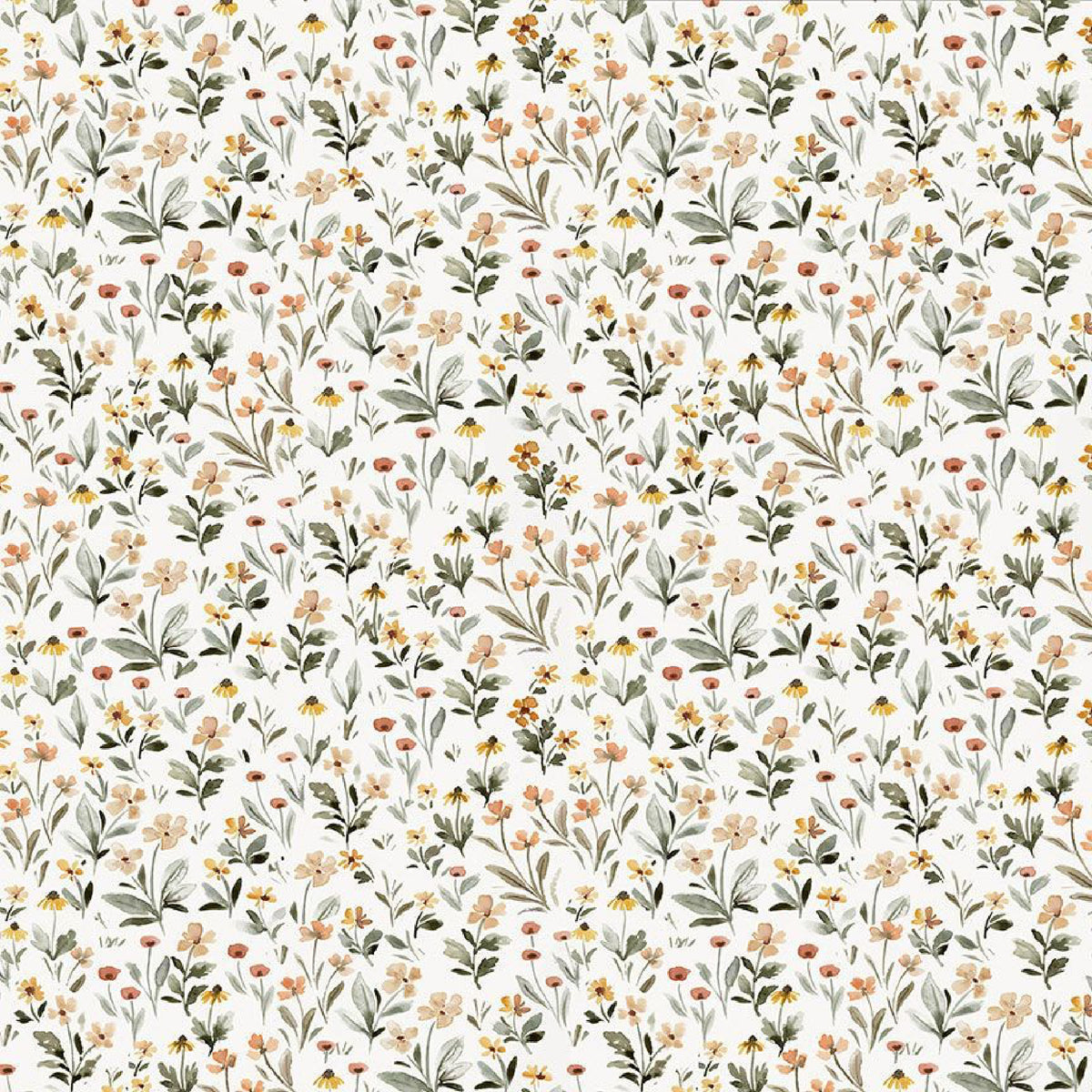 files/STELLA-DCJ3460-CREAM1.jpg