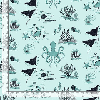 Octopus Toile in Hydro