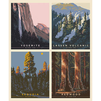 National Parks California Pillow PANEL in Multi