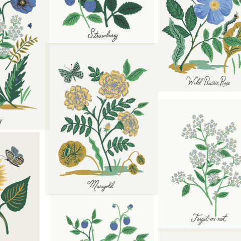 Botanical Prints CANVAS in Blue Multi