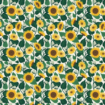 Sunflower Fields in Cream