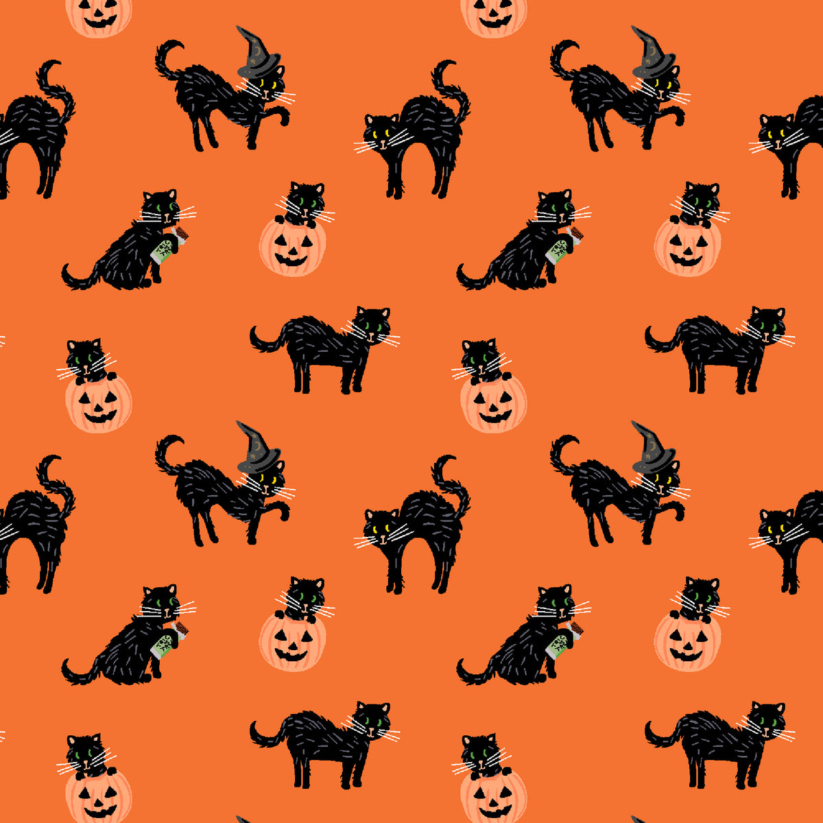 files/rp1302or1m_black_cat_orange.jpg