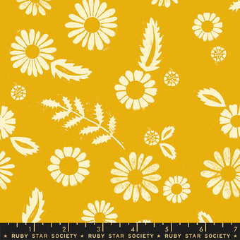 Daisy RAYON in Goldenrod