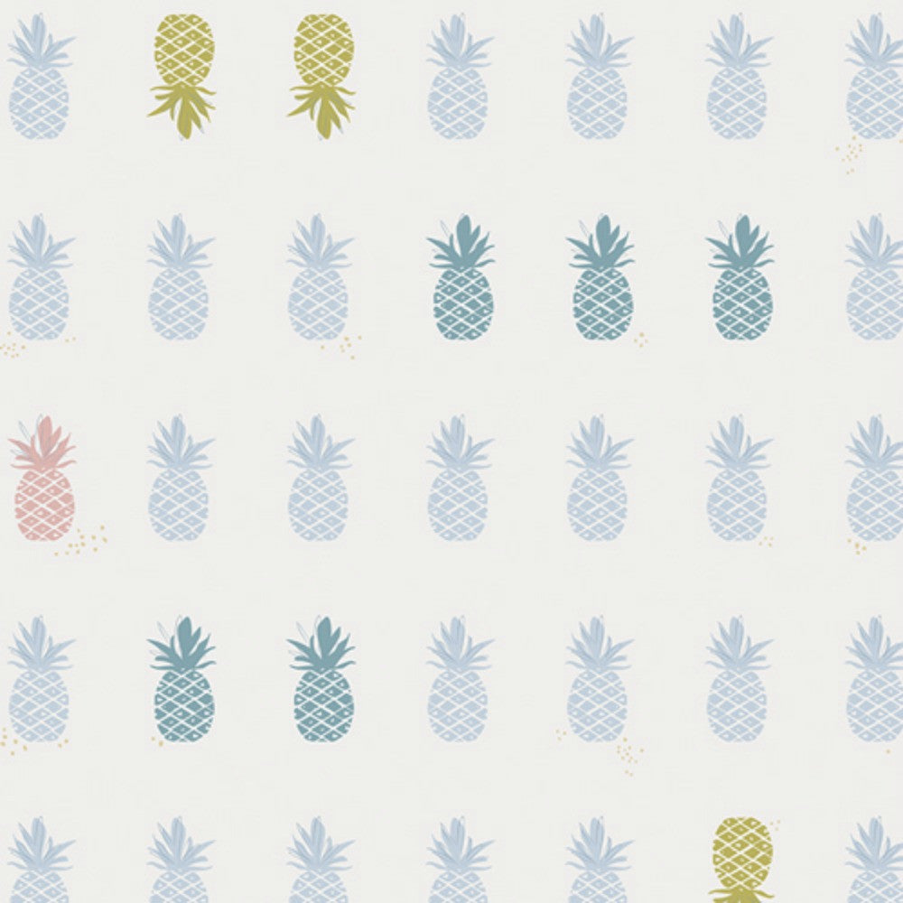 products/Ananas-Powder_500px.jpg