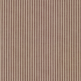 Crawford Stripes in Brown