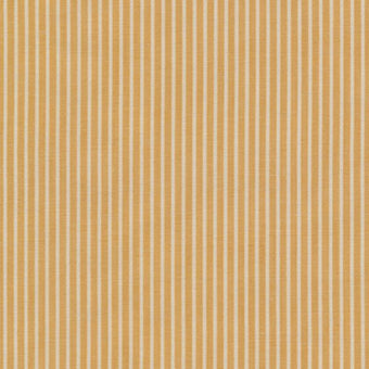 Crawford Stripes in Mustard