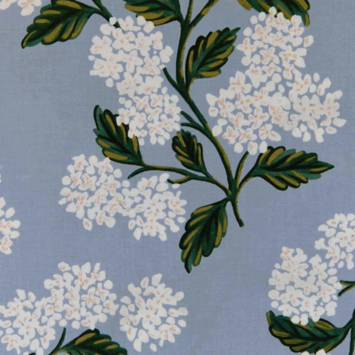 products/hydrangea_light_blue_1.jpg