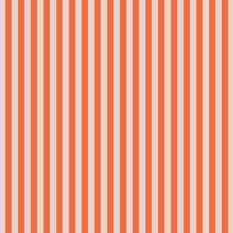 Cabana Stripe in Orange