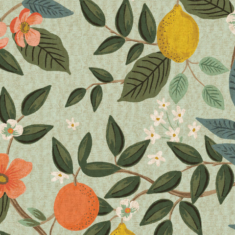 aqua cotton linen canvas with citrus trees, oranges and lemons.  Bramble by Rifle Paper Co.