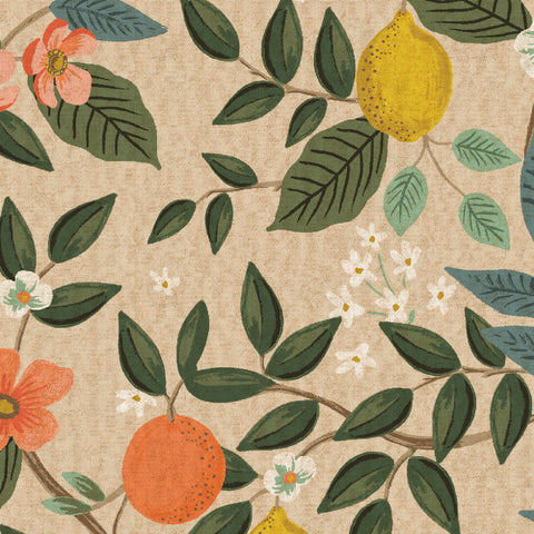 cream cotton linen canvas fabric with citrus trees, oranges and lemons.  Bramble by Rifle Paper Co.